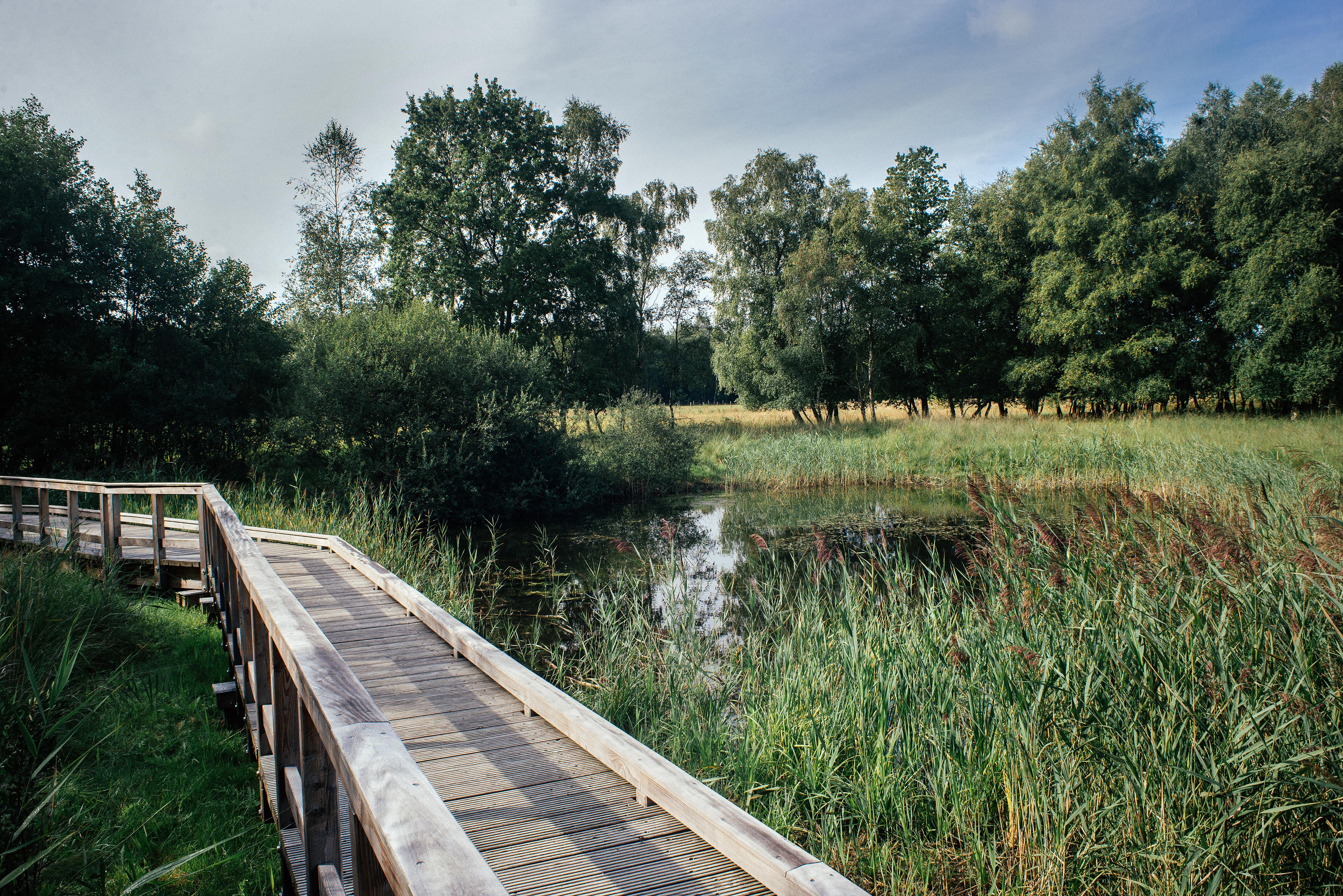 Bohlenweg durch das Elmpter Schwalmbruch
